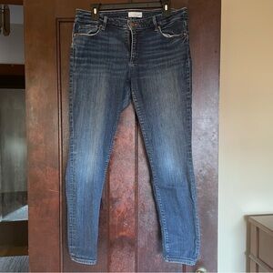 Ann Taylor Loft Skinny Jeans Size 30 / 10